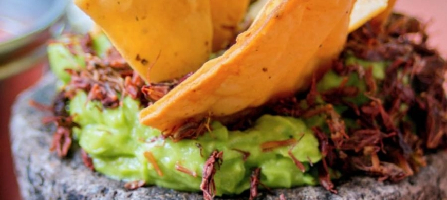 Conoce la Cocina Mexicana con Thermomix