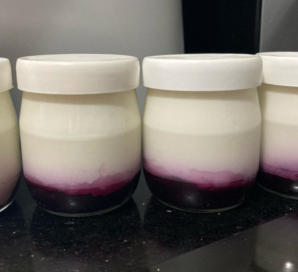 YOGUR DE ARANDANOS EN VAROMA